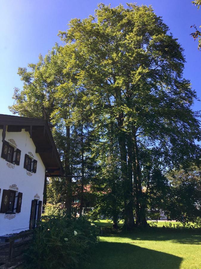 Traumhaftes Ferienhaus Direkt Am Tegernsee Rotta Extérieur photo
